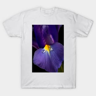 Dew Drops On Blue Iris T-Shirt